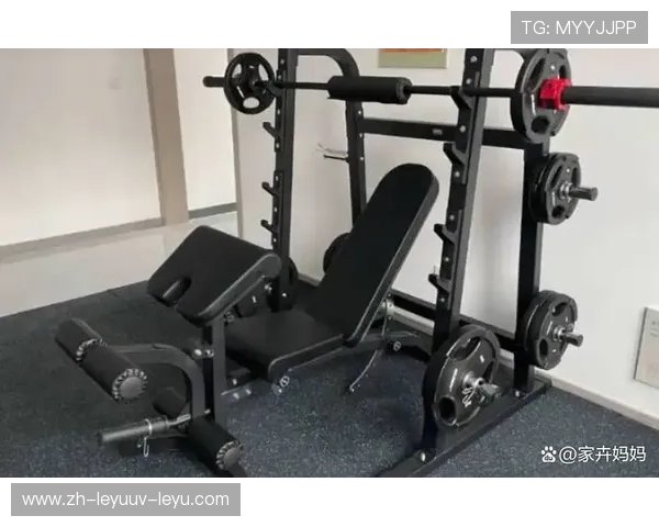 适合中老年群体使用的家庭健身器材推荐榜单